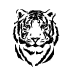 salle formation et réunion : Les tigres